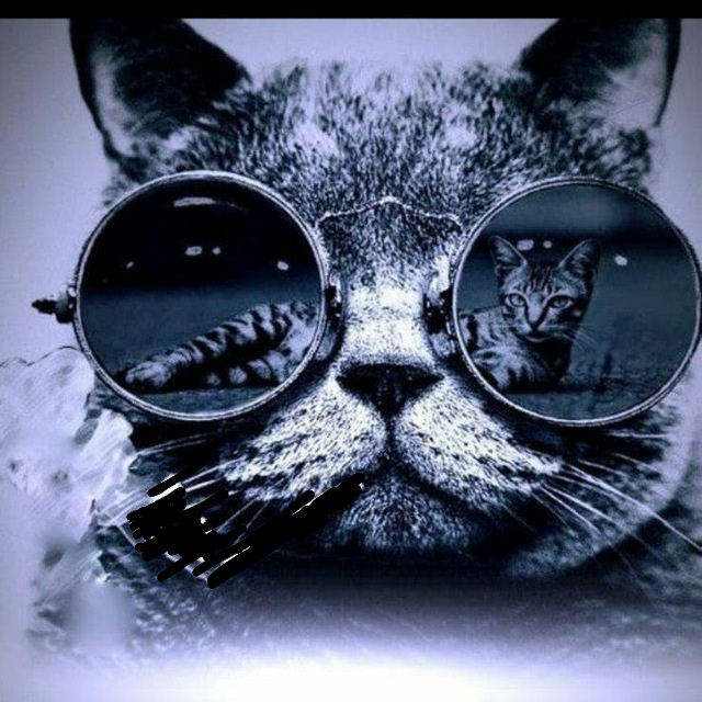 ������ ���������