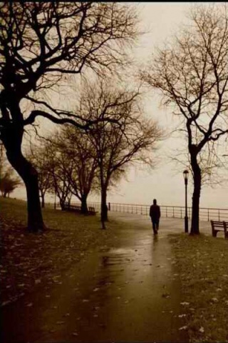 Роман Излучин