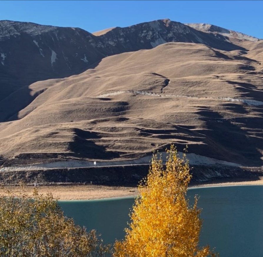 Роза Белая 777