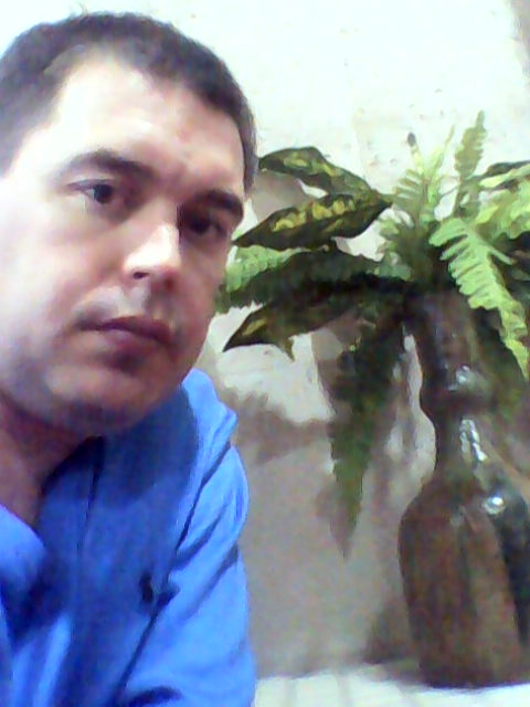 ���� ��������