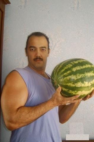 ������ ��������