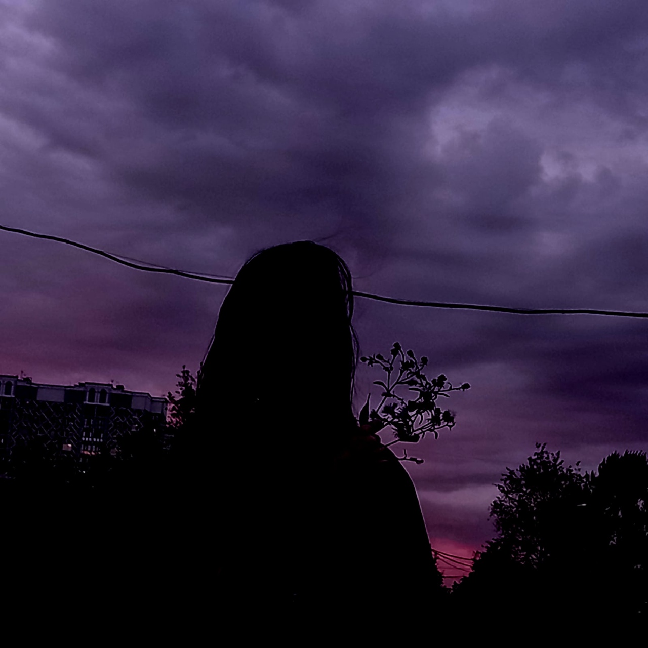 Элли Романс