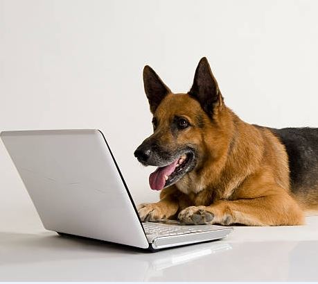 �������� ���������� 21