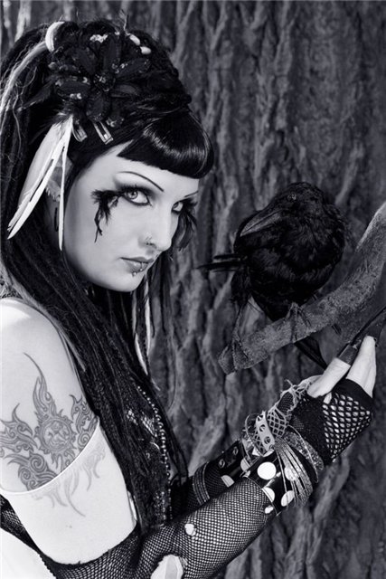 �������� ���������