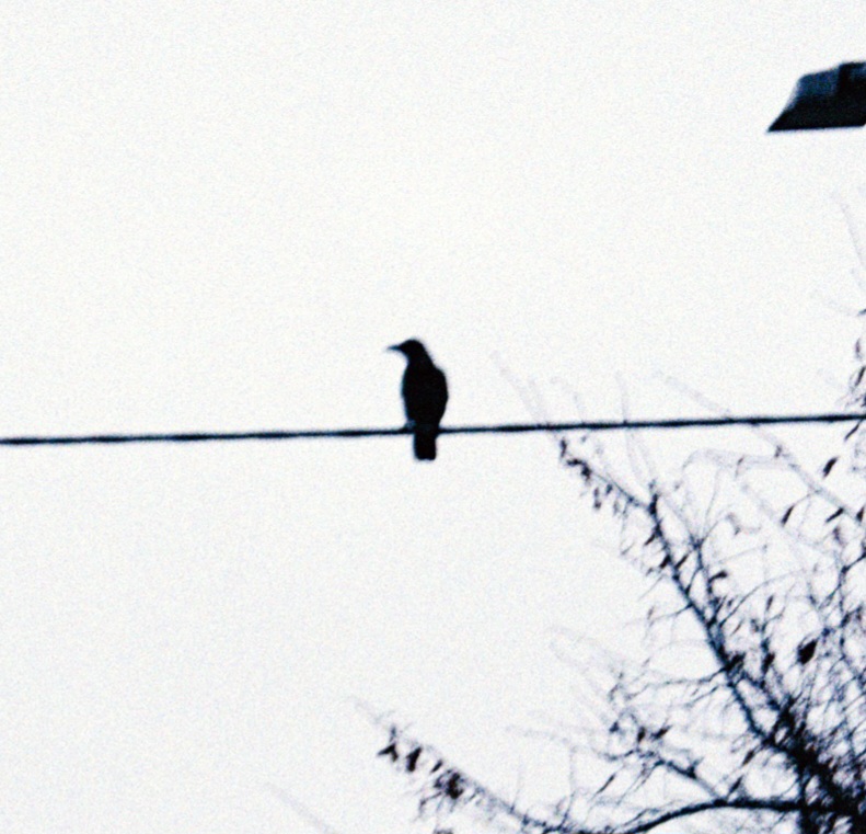 ������ �������665