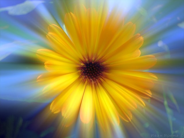 ����� ��������