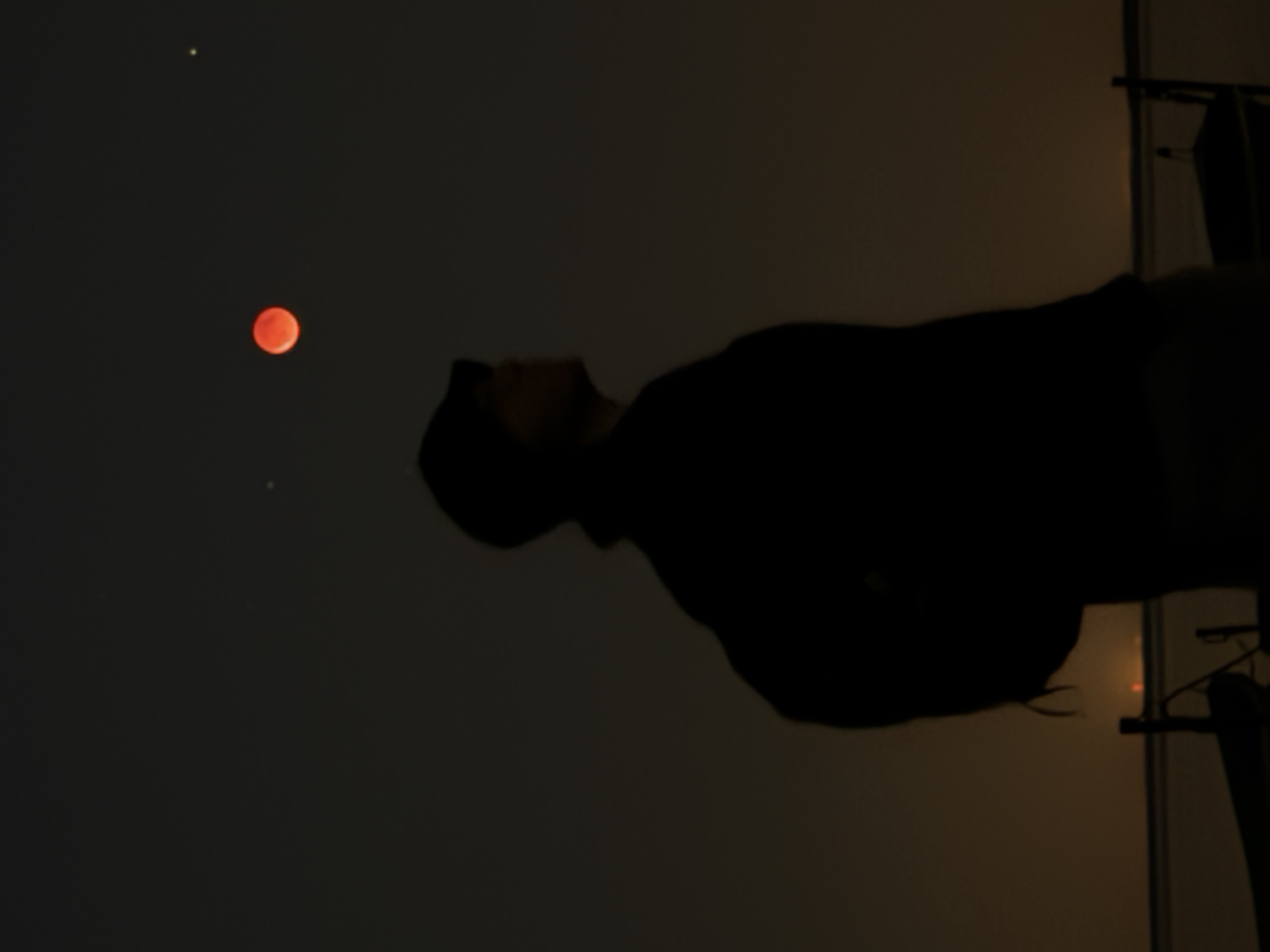 ���������� ����������