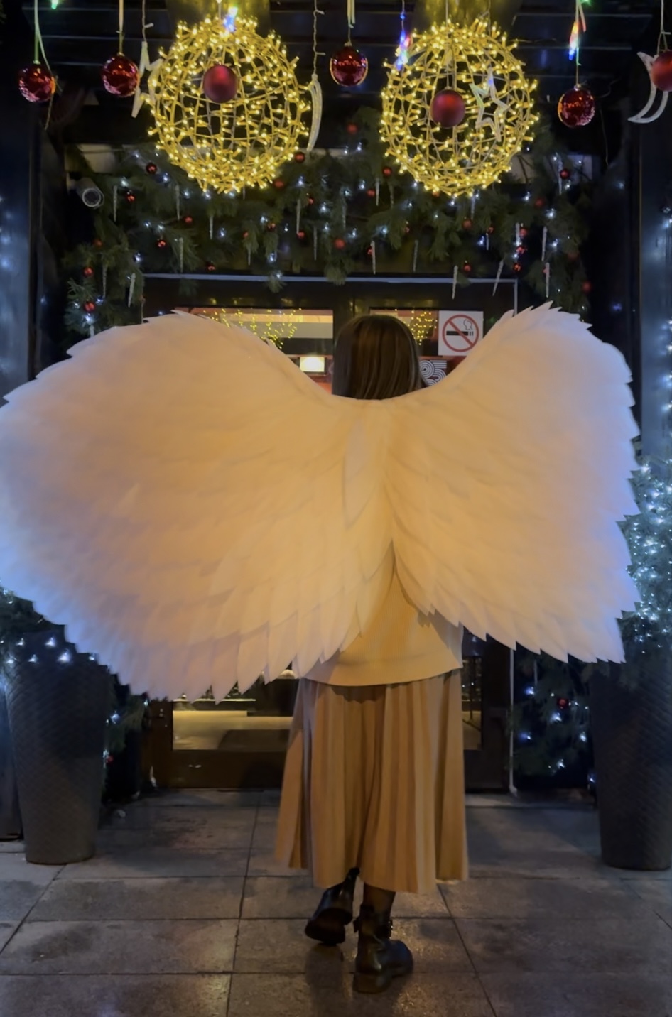 ������ ��������