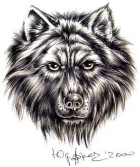 Сергей Серый Волк