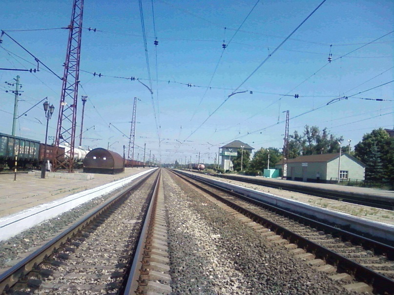 Тина Никольская