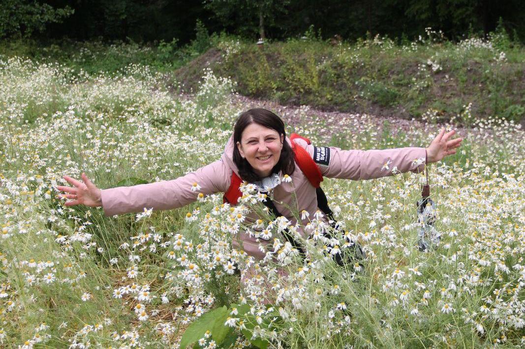 ������� ������ �����������