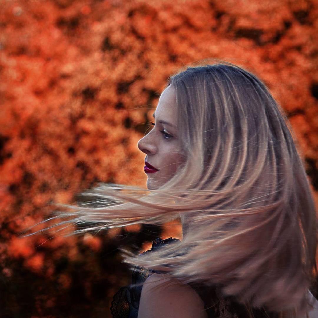 �������� �����������