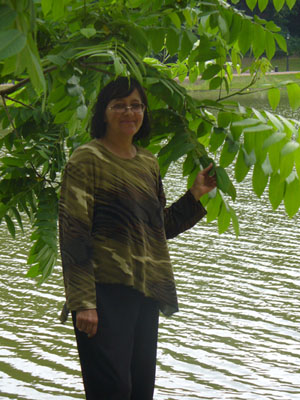 �������� ��������