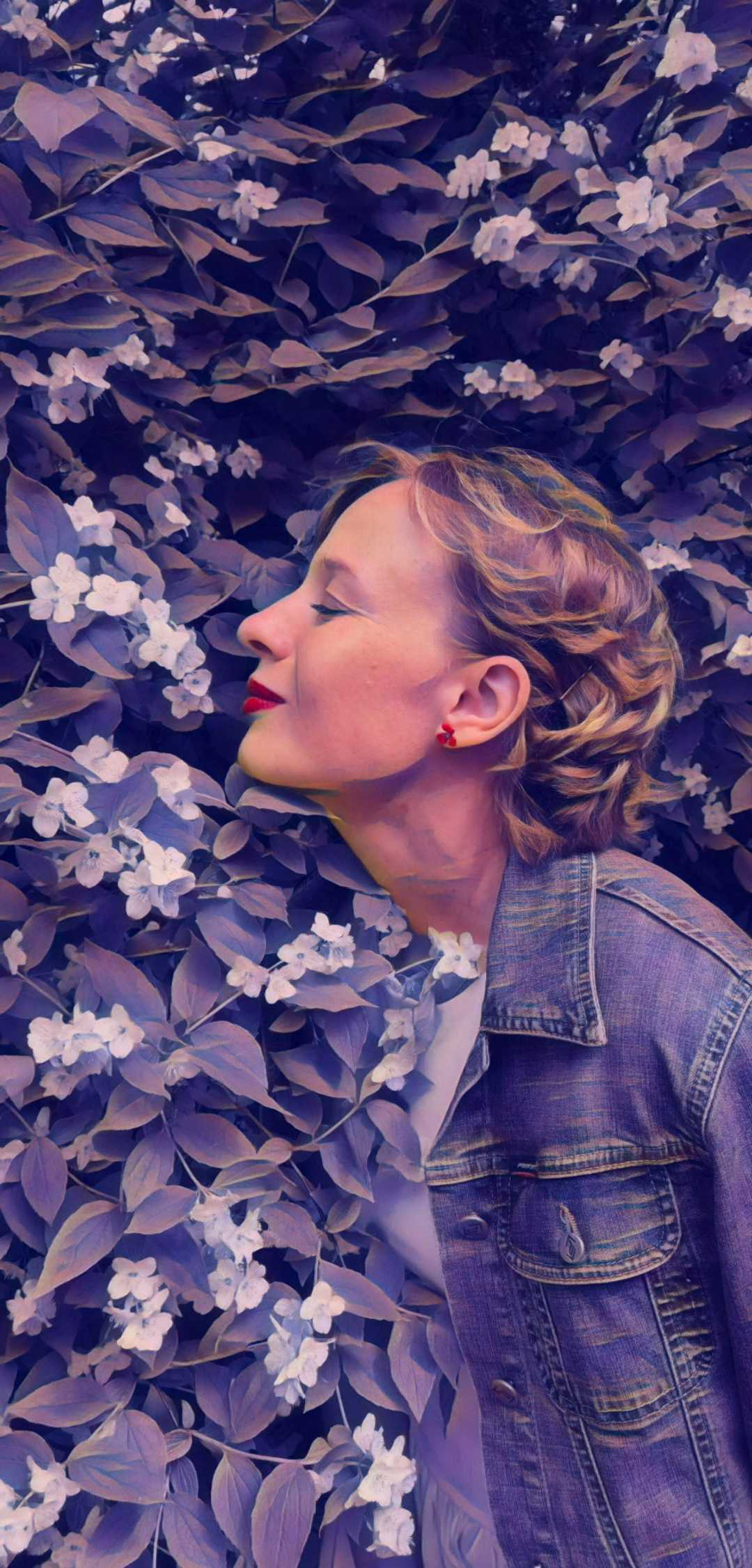 ������� ����