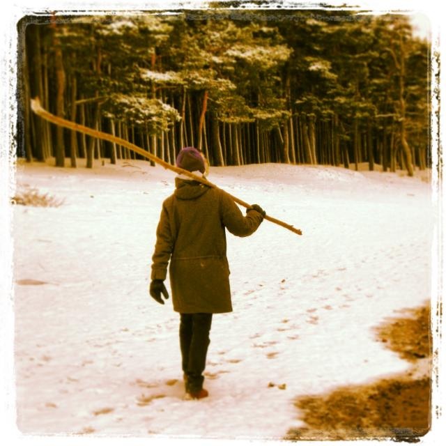 ���� ����