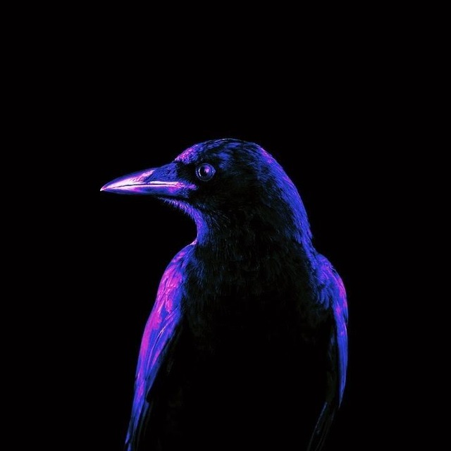 Тимофей Кавельский