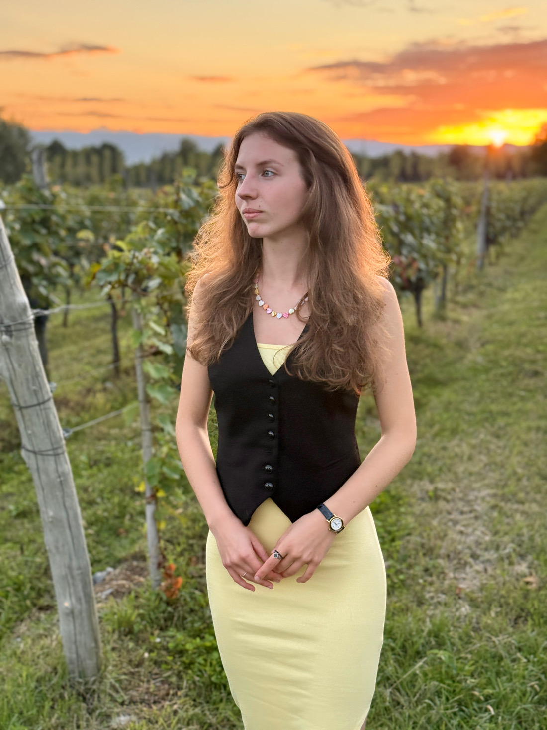 ������ ��������