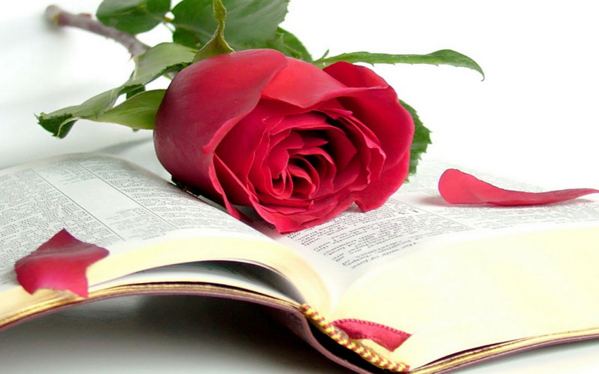 Библия Тора