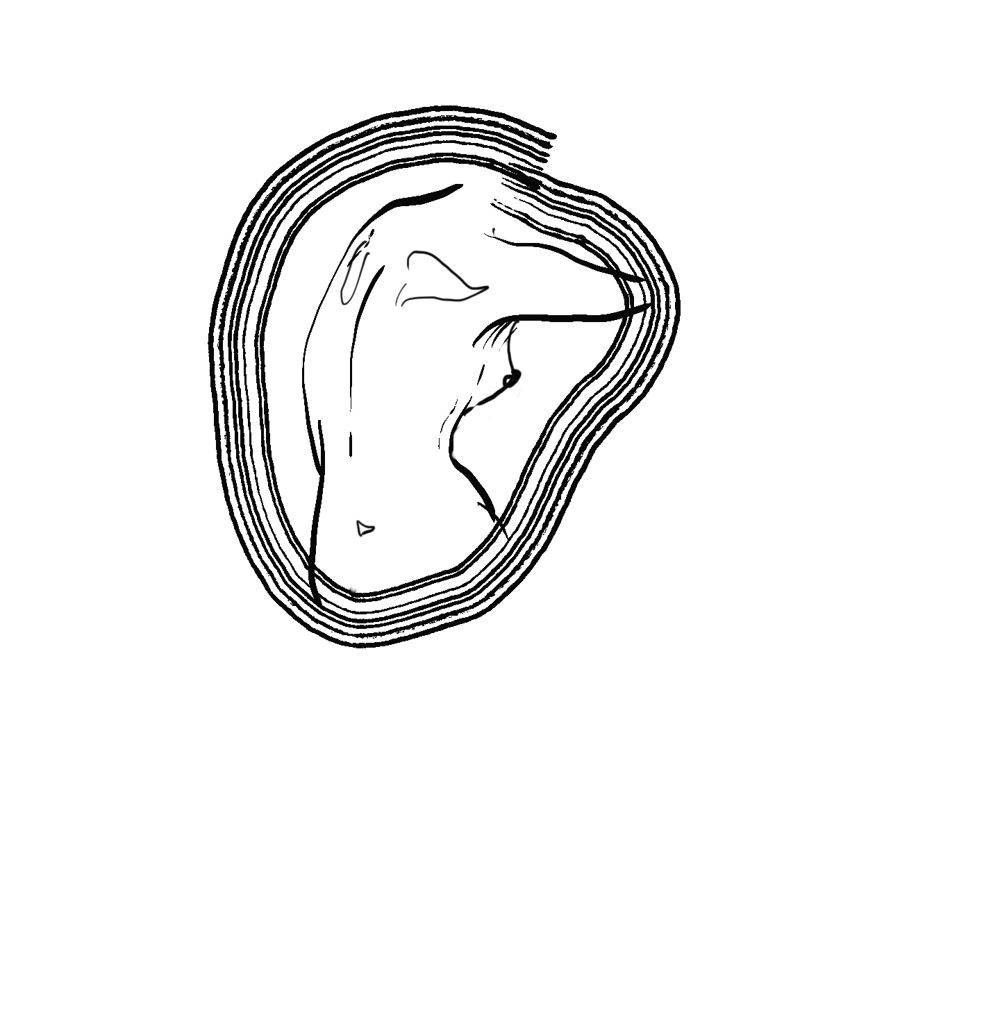 ��������� ��