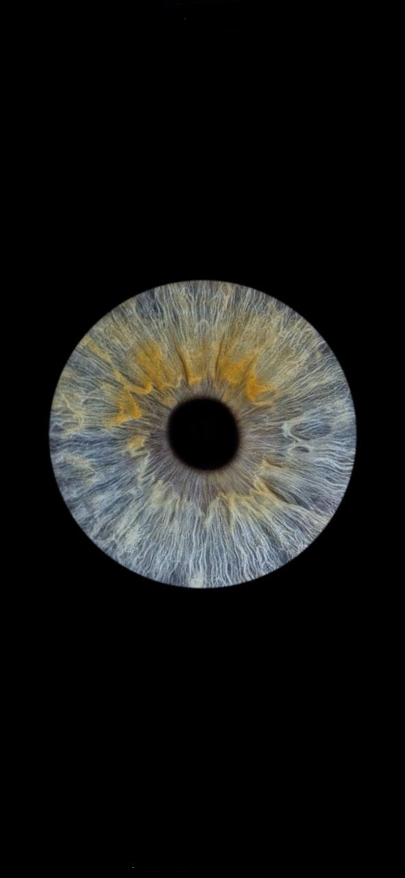 ��������� ������