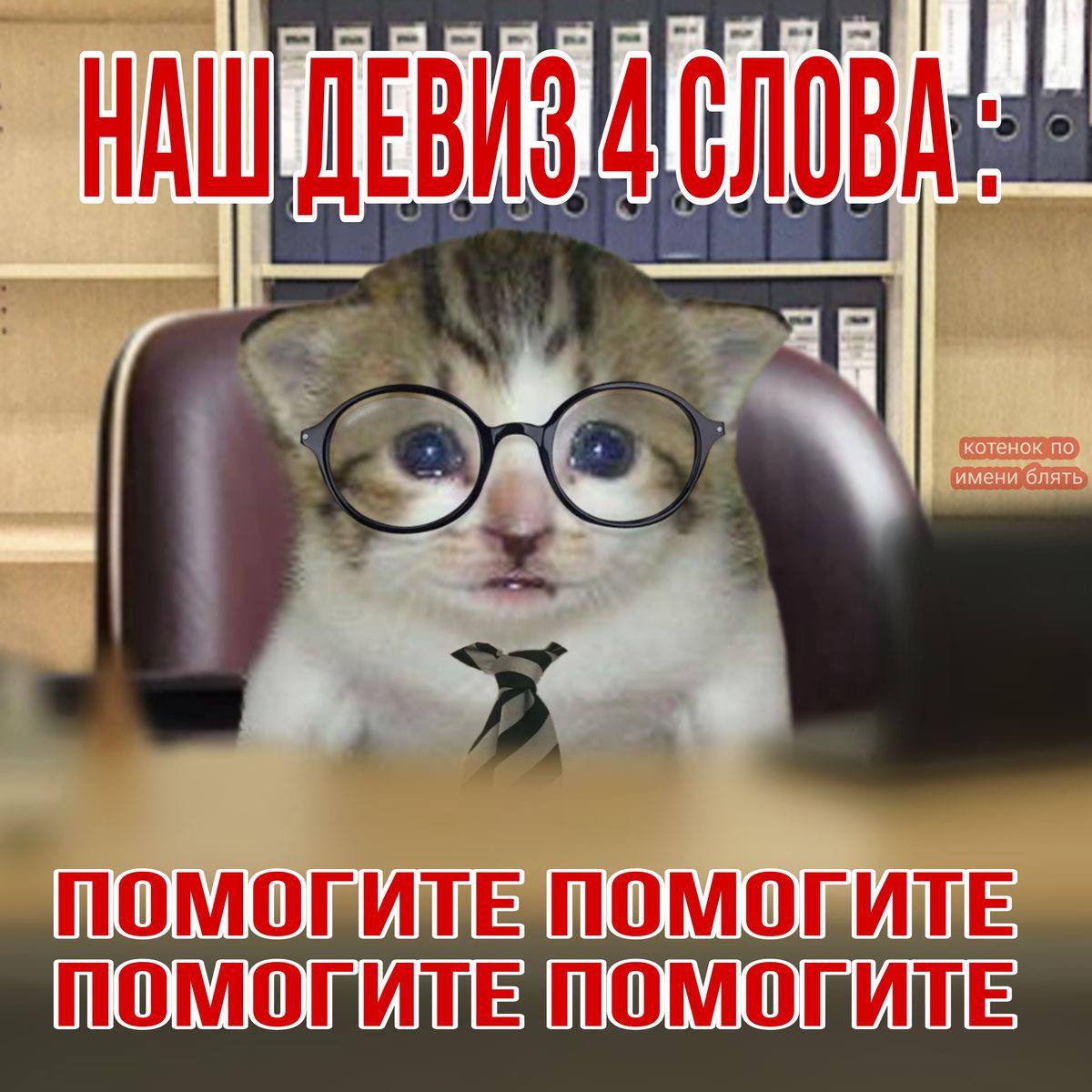 ���� �������� 1