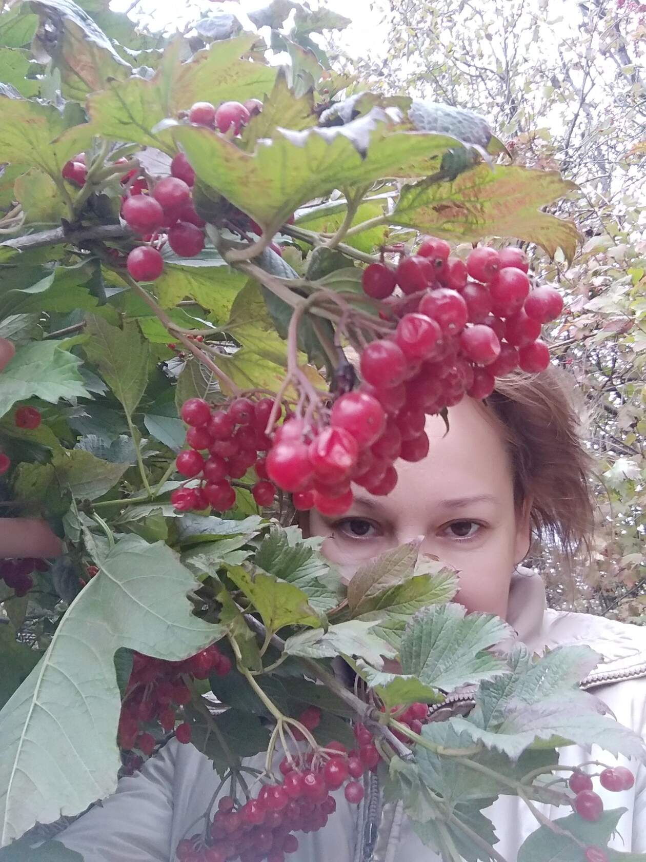 ������� ������� ����������