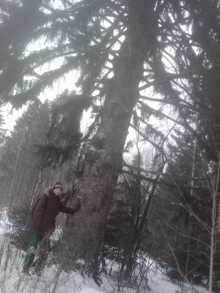 ��������� ������-�������