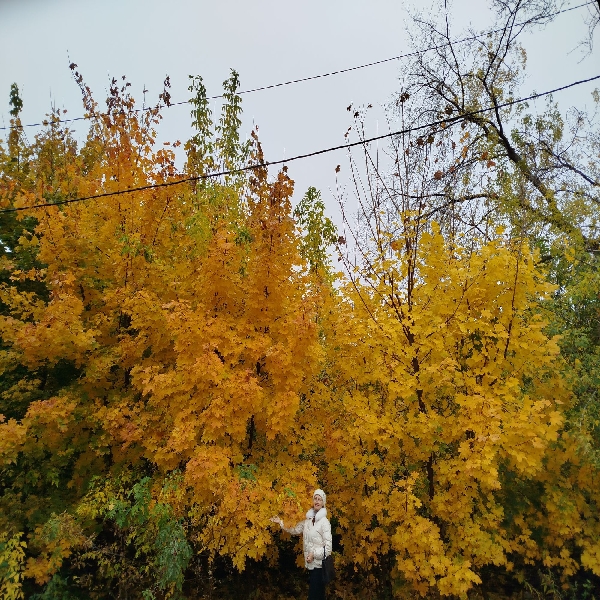 Вера Перетрухина