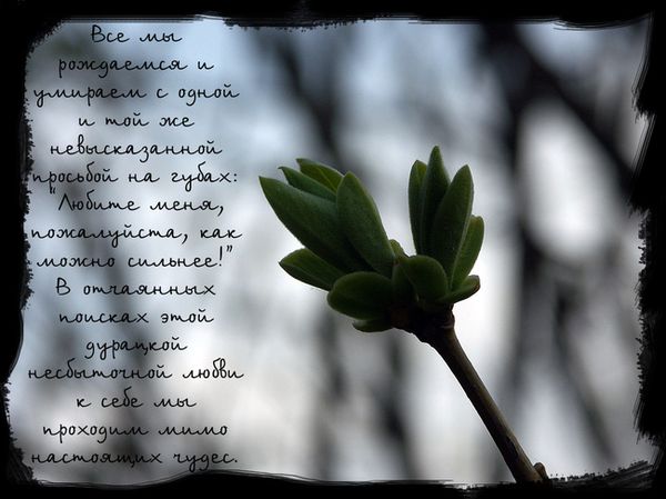 ���������� ����