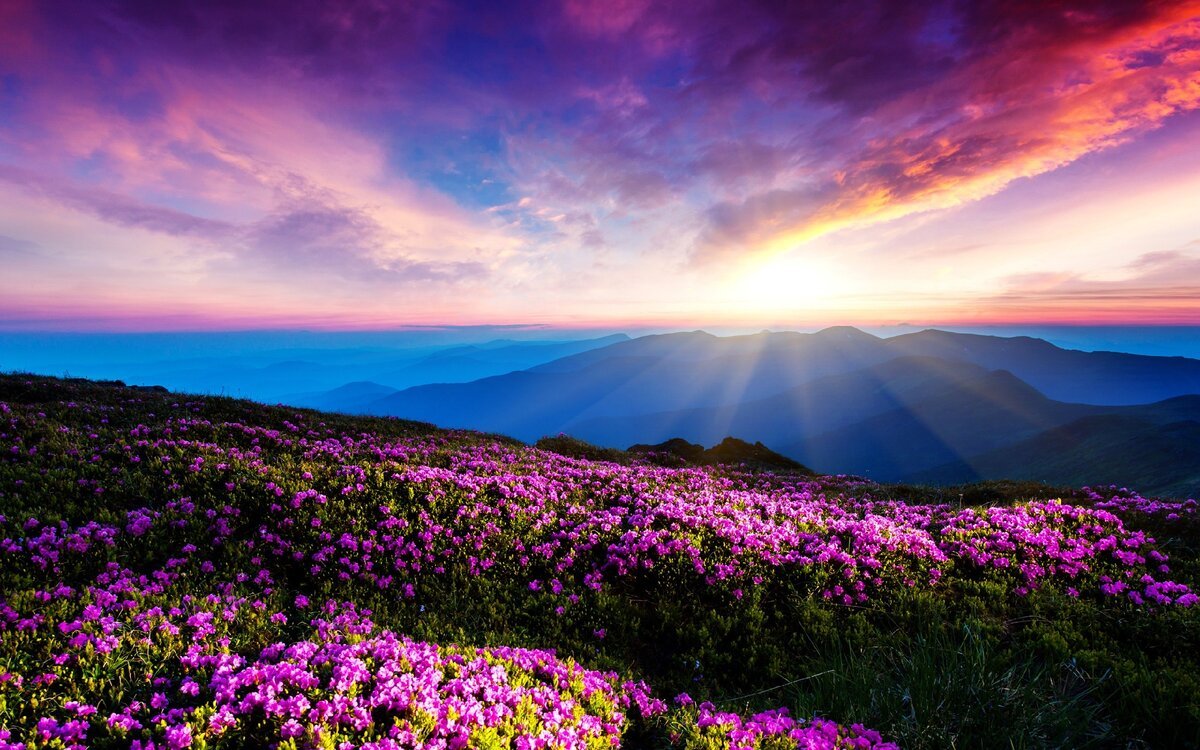 ������ �������� ����������