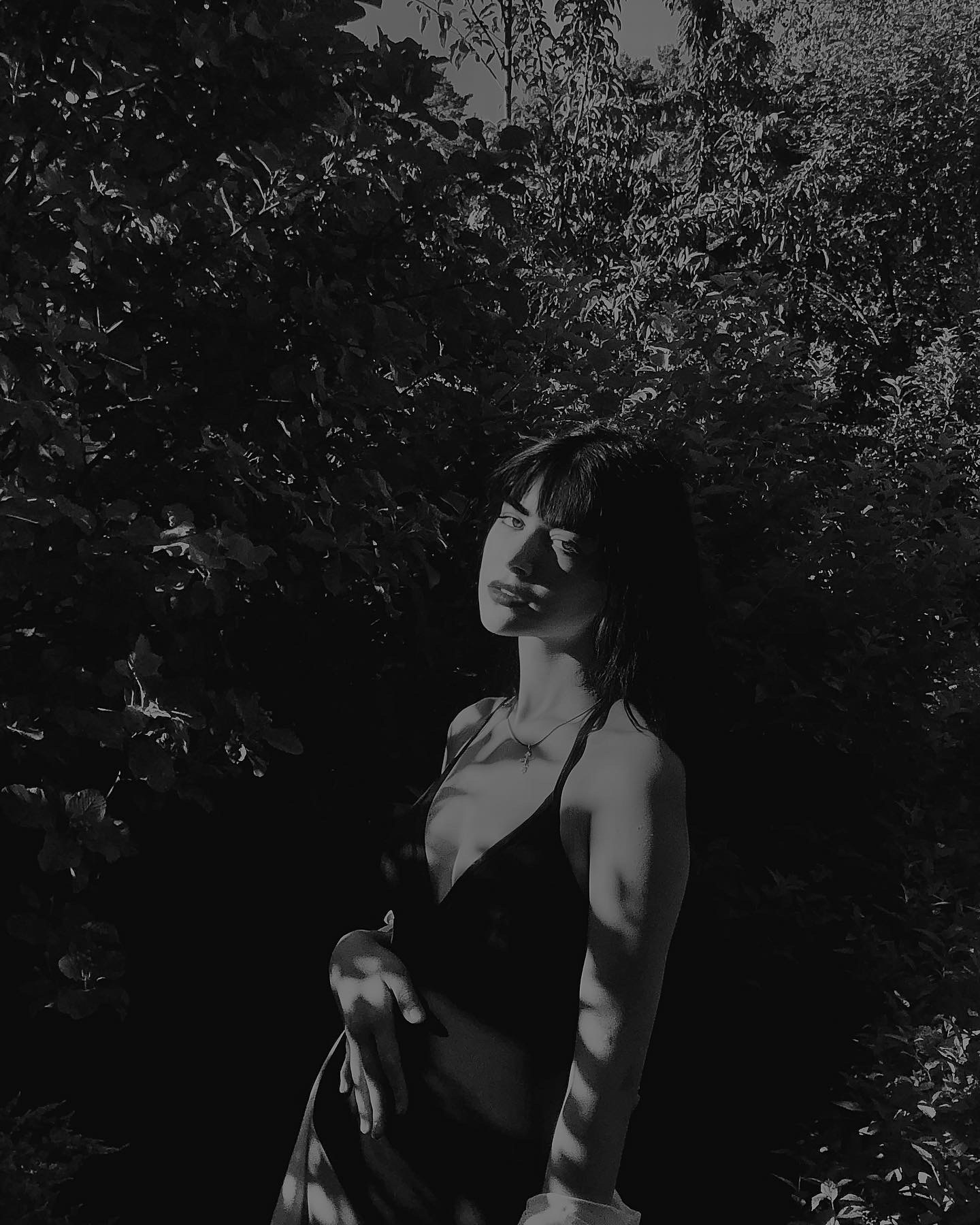 ������� �������