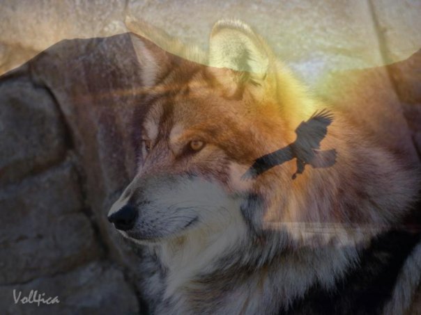 Ҹ���� ����