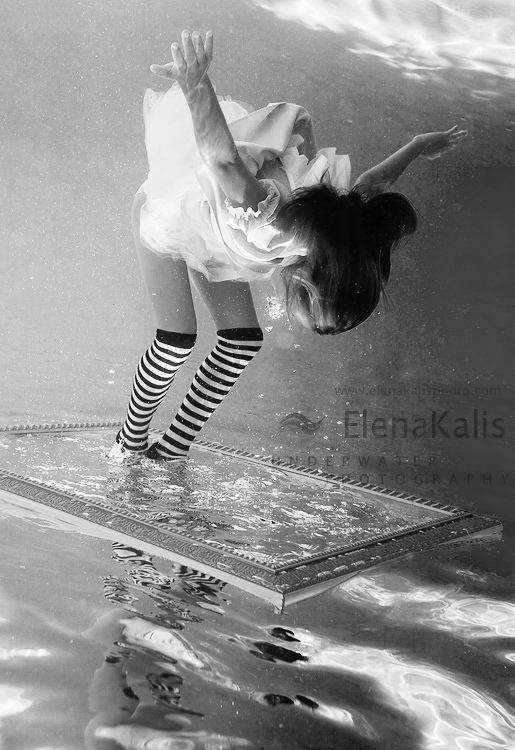 ���� ������������