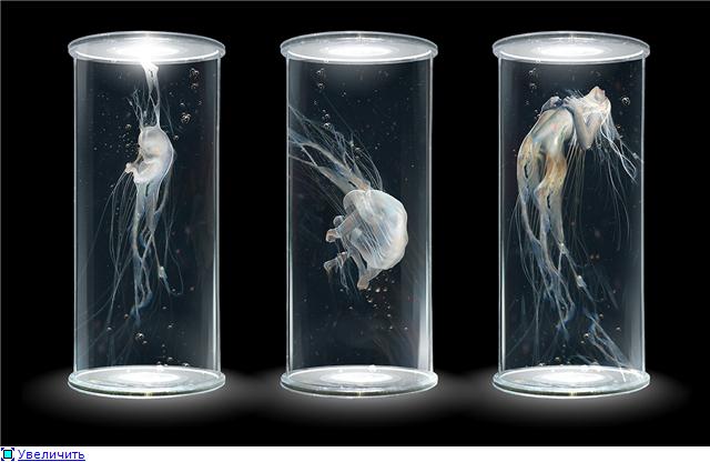 ���� ����