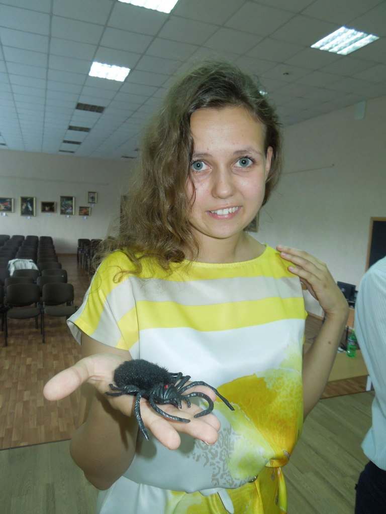 ���� ��������