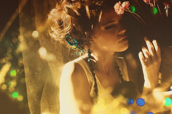 ���� ����������� 6