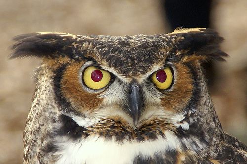 Андрей Зайкин