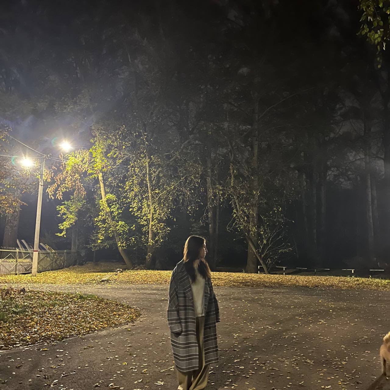 ����� ��������