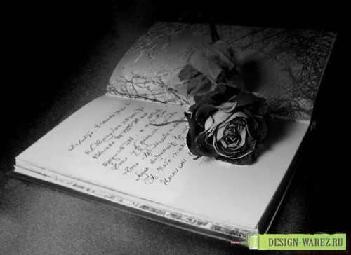 Иван Прибытков 2