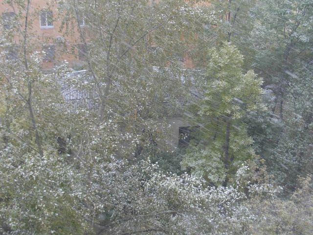 Октябрьский снег