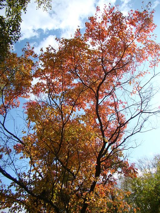 Месяцеслов