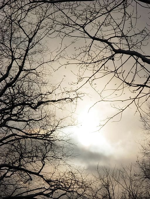 Дистанционная присуха