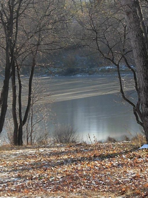 Без снега стынь