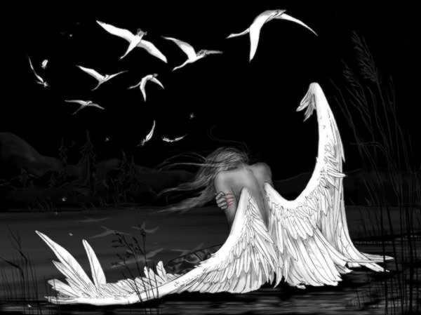 Вiдбилася пташенька