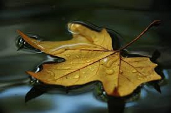 Одиночество, со мной оно всегда...