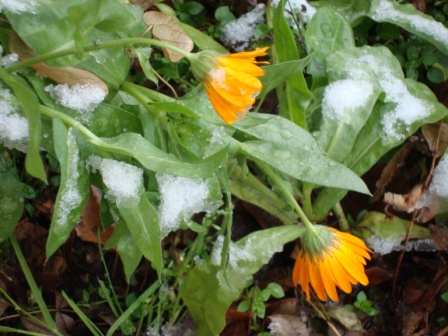 Нам эту грань не перейти