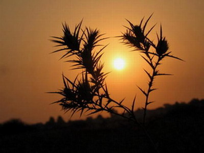 А я живу и... забываю...