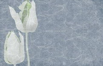 Cчитается, что от любви глупеют...