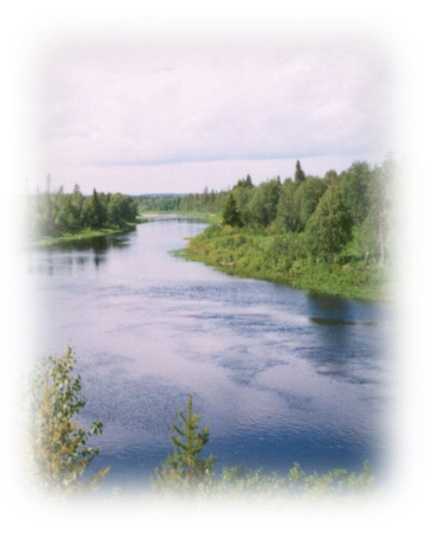 Рыбалка на реке Мегре