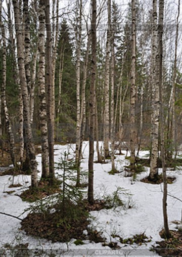 На до мною беда черным вороном